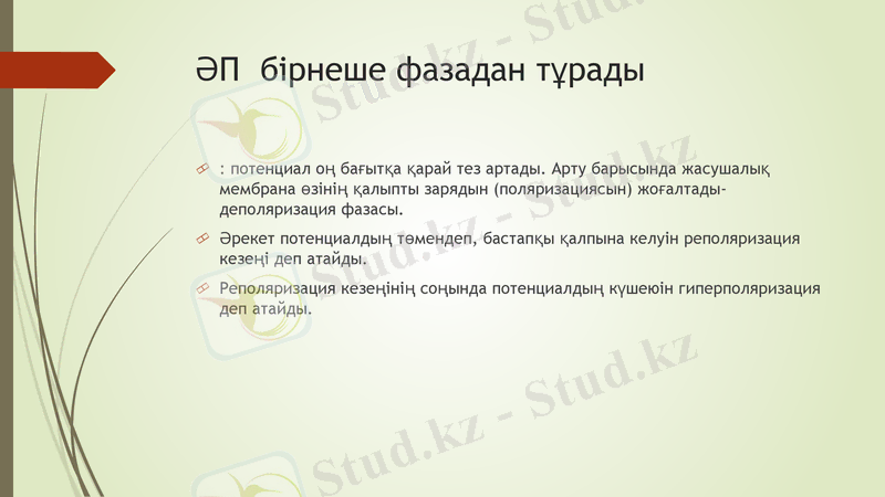 Slide 20