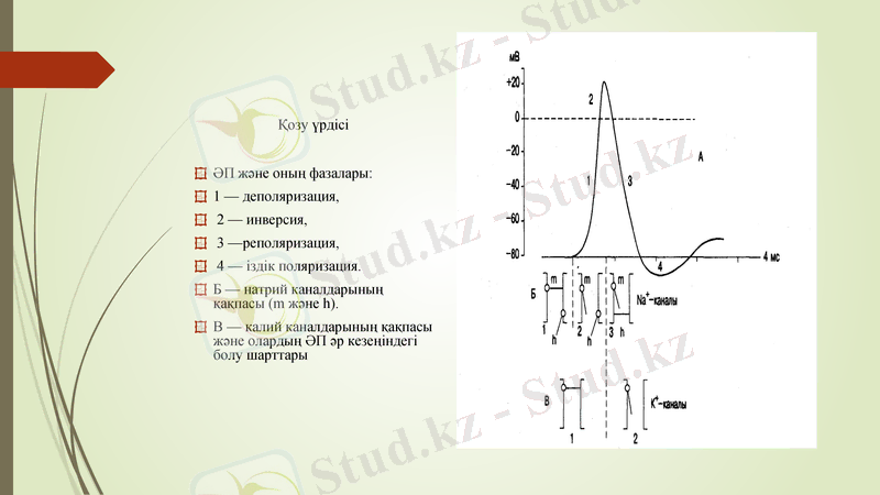 Slide 21