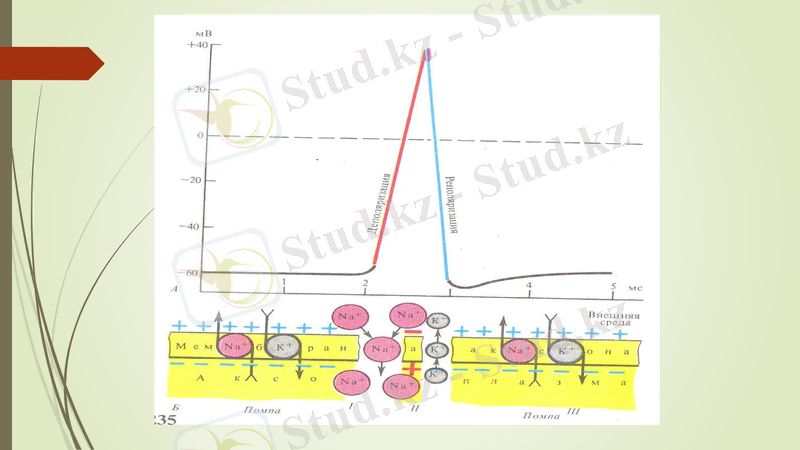 Slide 22