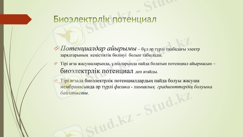 Slide 3