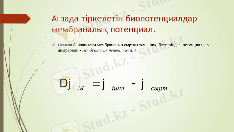 Slide 6