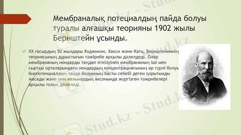 Slide 7