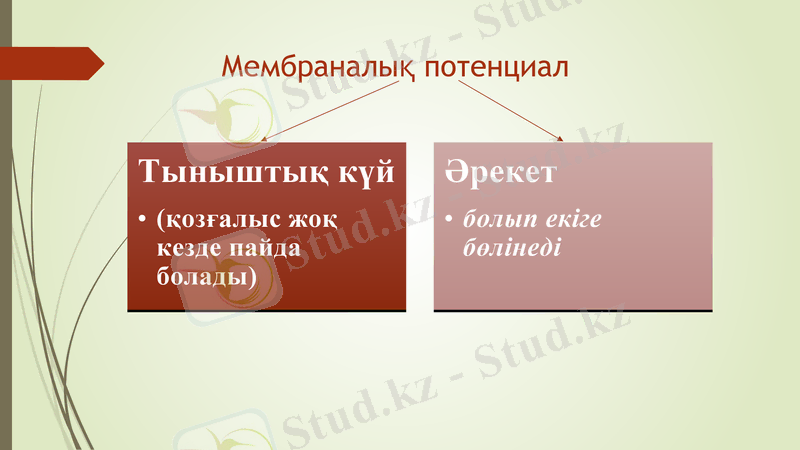 Slide 8
