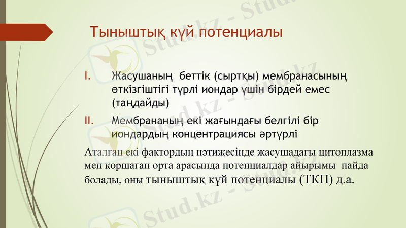 Slide 9