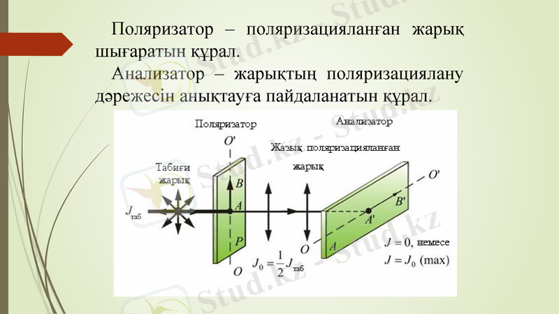 Slide 10
