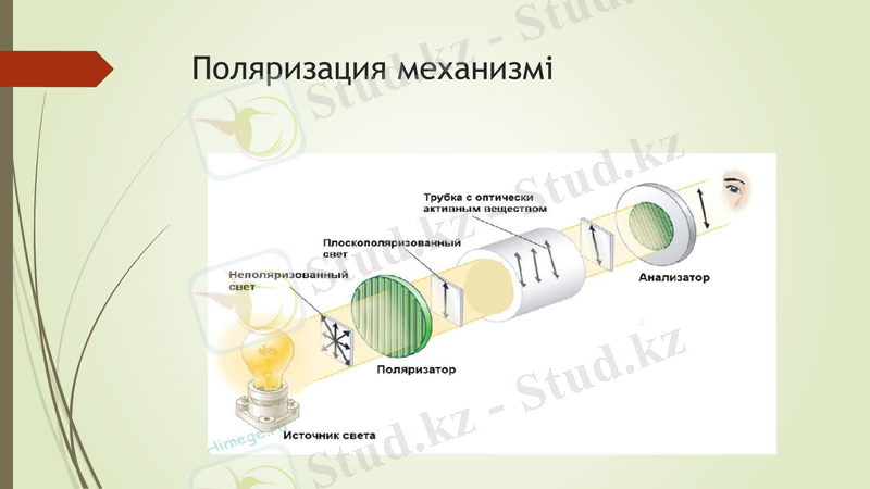 Slide 11