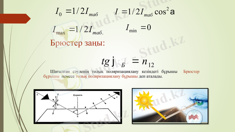 Slide 12