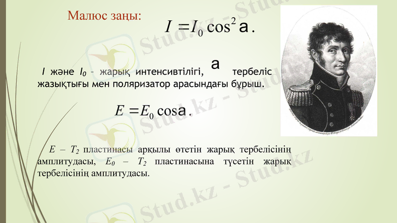 Slide 13