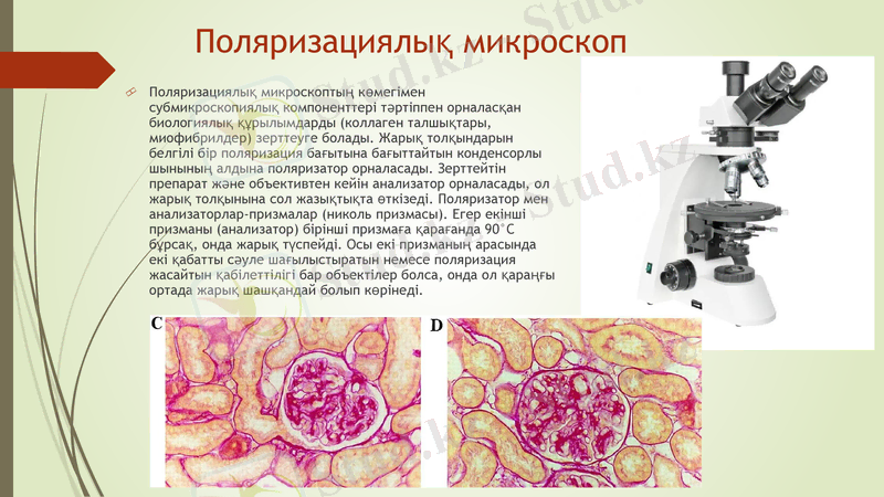 Slide 15