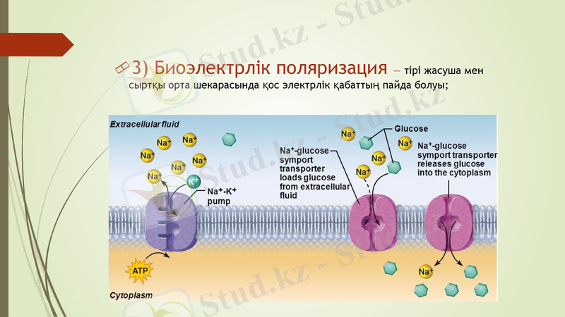 Slide 6