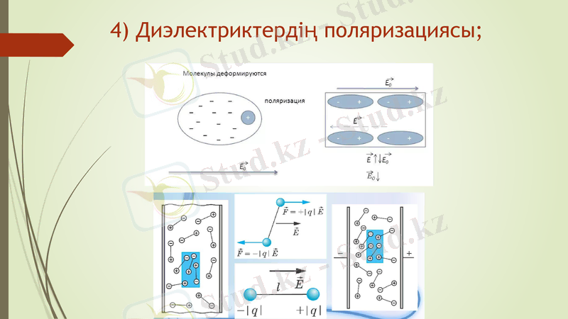 Slide 7
