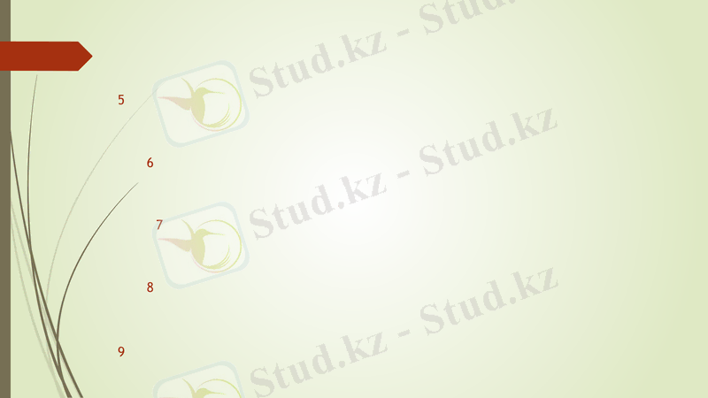 Slide 8