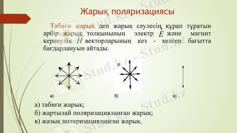 Slide 9