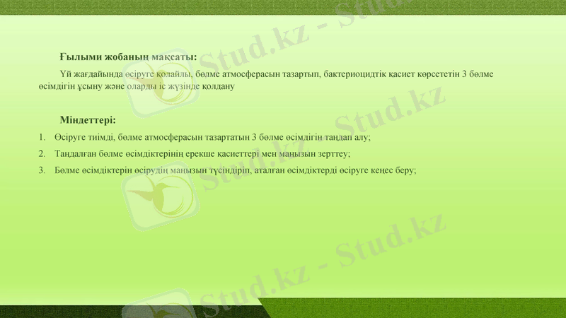 Slide 3