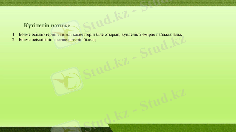 Slide 6