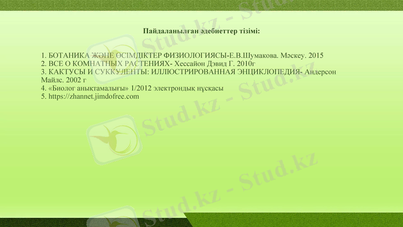 Slide 7