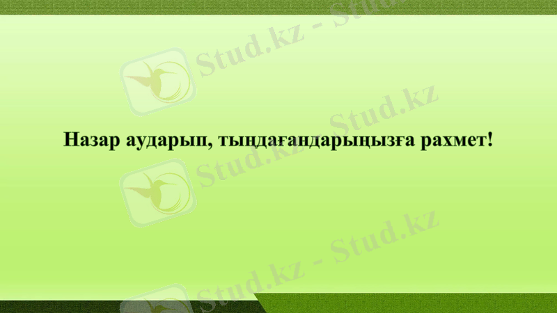 Slide 8