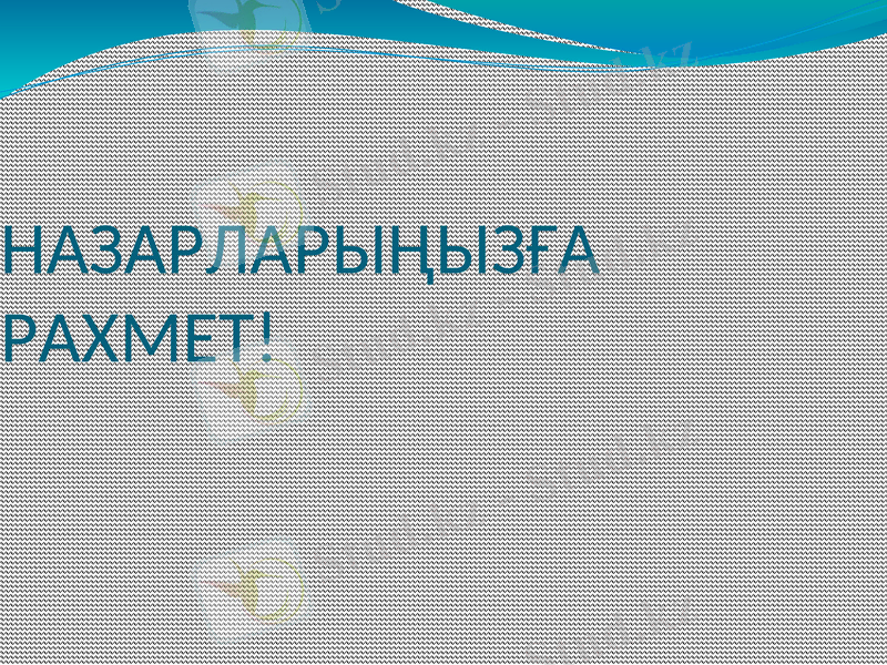 Slide 15