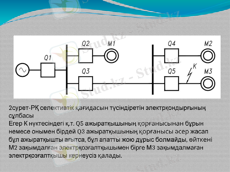 Slide 7