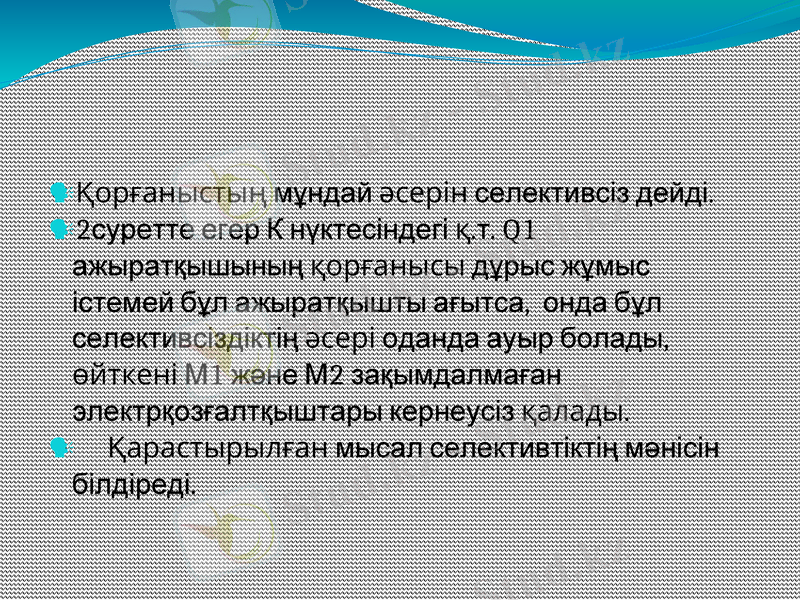 Slide 8