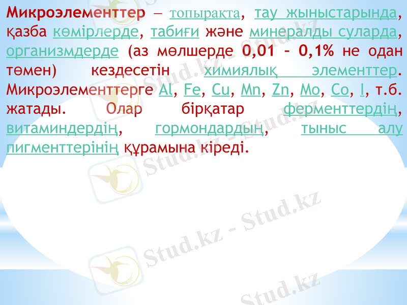Slide 13