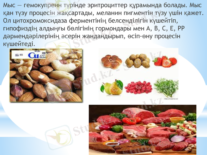 Slide 17