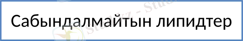 Slide 10