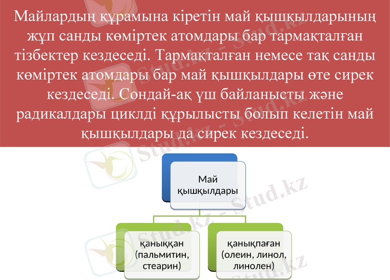 Slide 11