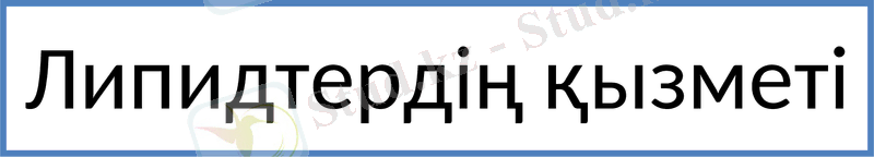 Slide 12