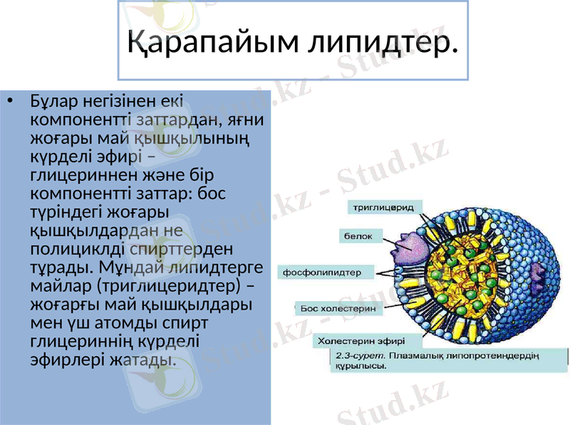 Slide 14