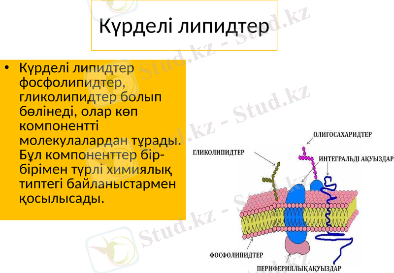 Slide 15