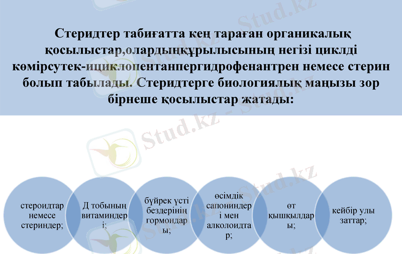 Slide 16