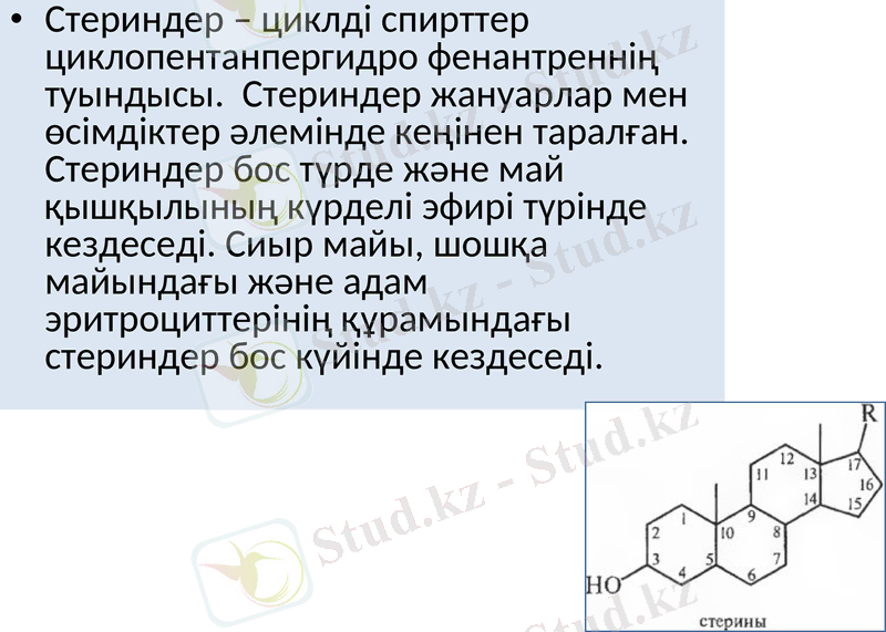 Slide 17