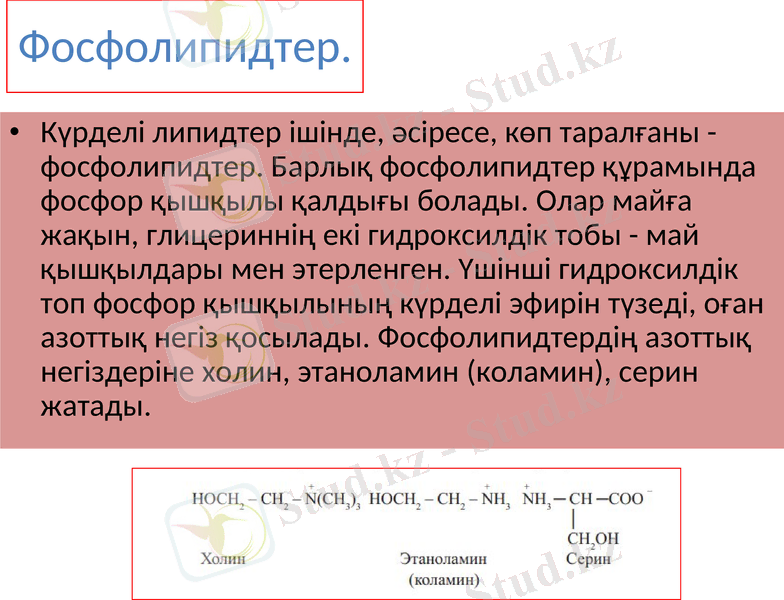 Slide 18