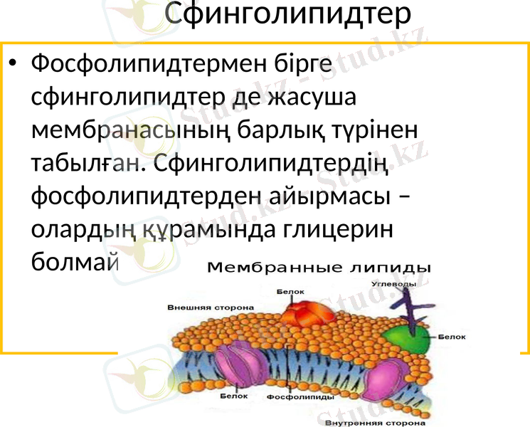 Slide 20