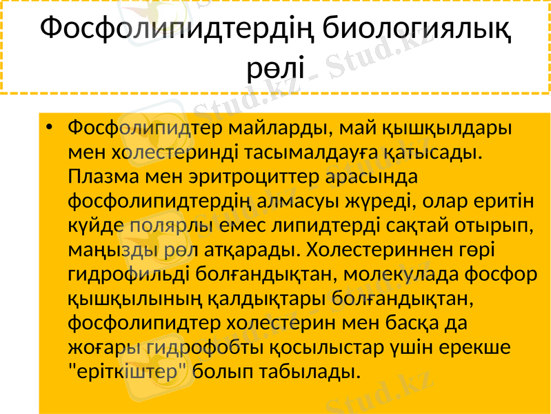 Slide 21