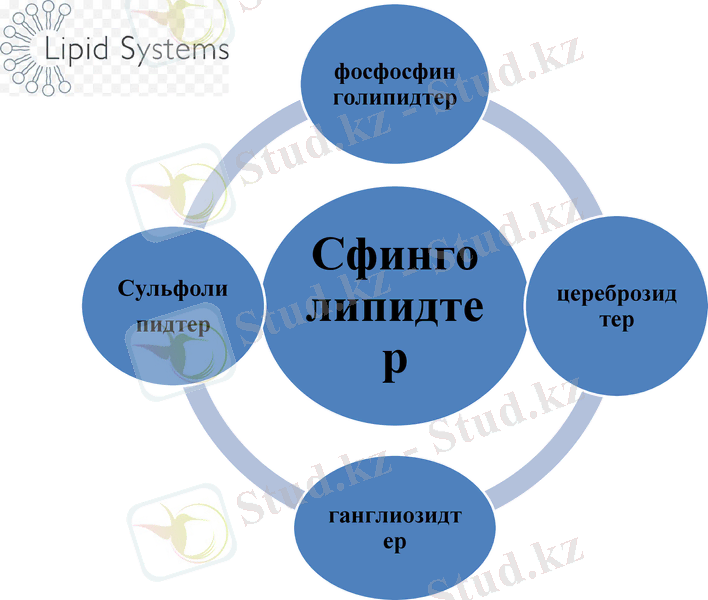 Slide 22