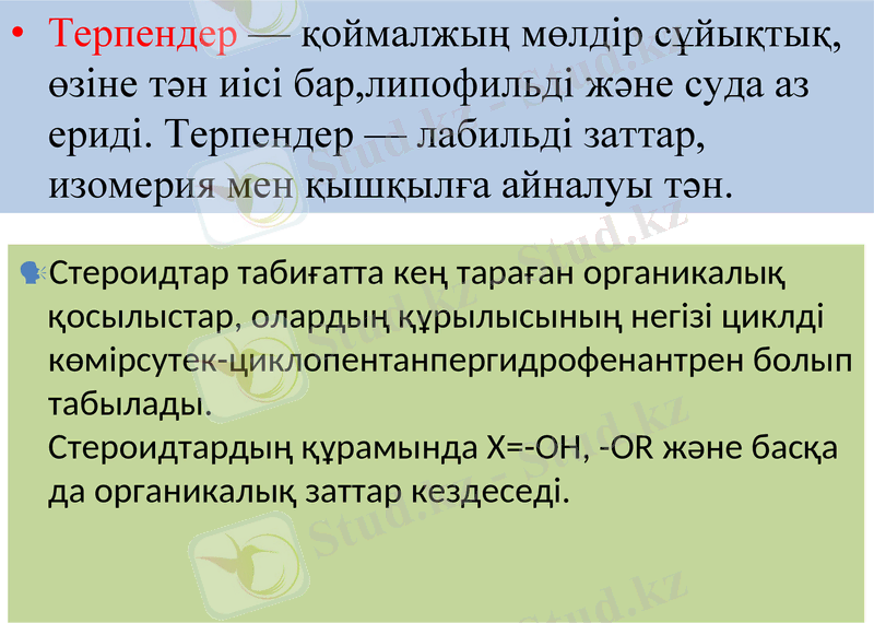 Slide 23
