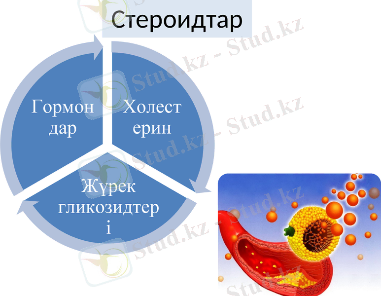 Slide 24