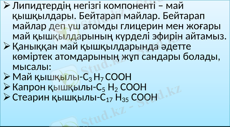 Slide 26