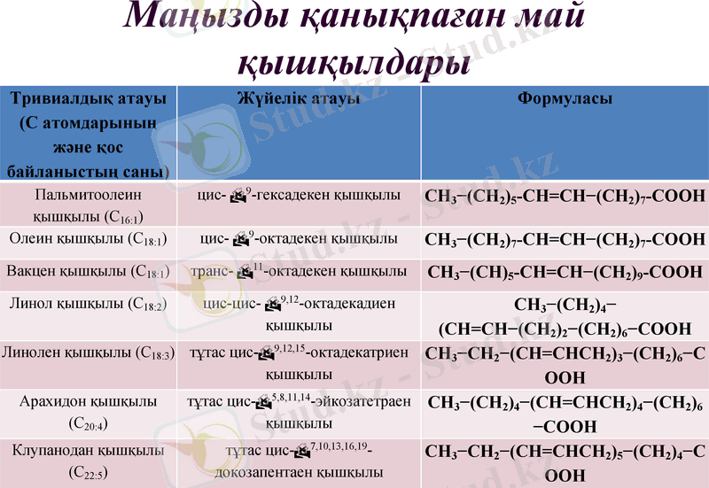 Slide 28