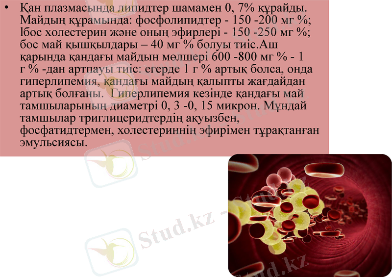 Slide 30