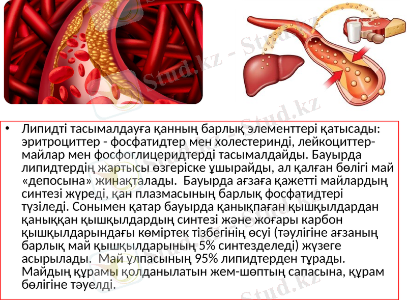 Slide 32