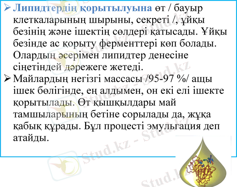 Slide 33