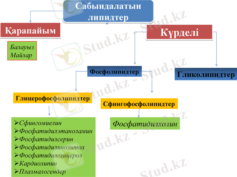 Slide 9