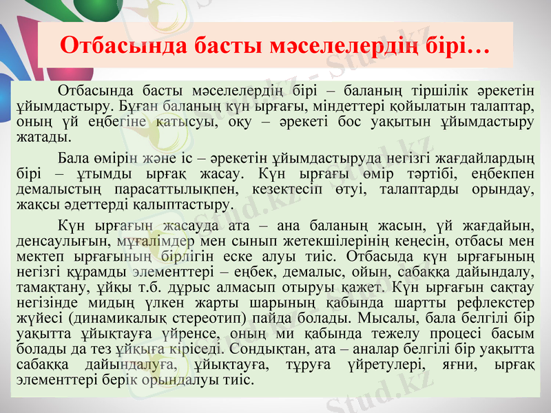 Slide 11
