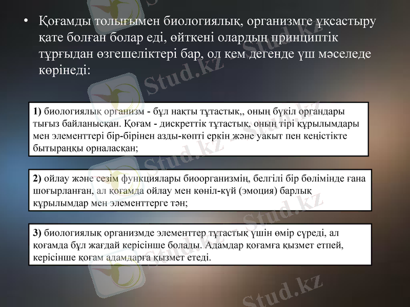 Slide 7