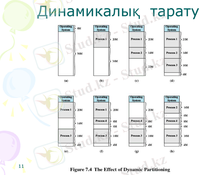 Slide 11