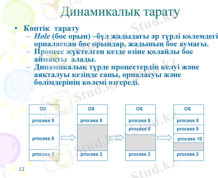 Slide 12