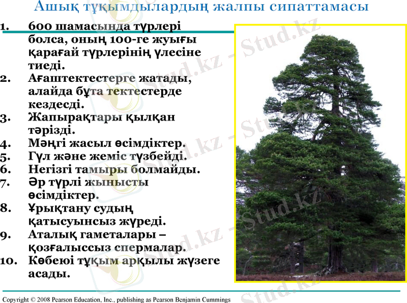 Slide 10